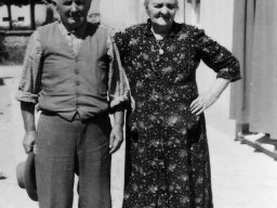 Pesciolo e l'Artemisia